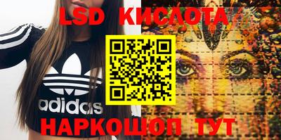 крисы Донской