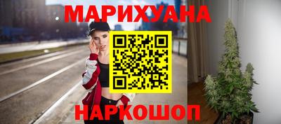 крисы Донской