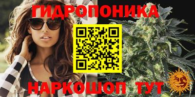 гашик Дубна