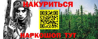 крисы Донской