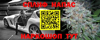 гашик Дубна