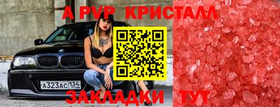 гашик Дубна