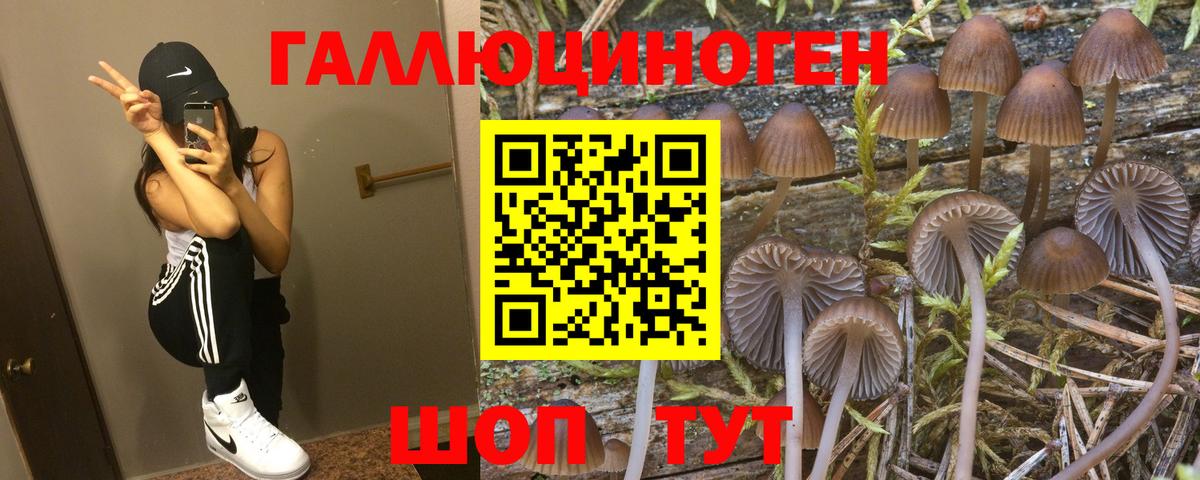 Лесосибирск  Псилоцибиновые грибы MAGIC MUSHROOMS  Вход с VPN 